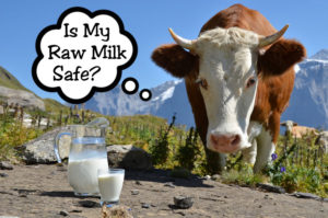 Differing views are held about the safety of raw milk