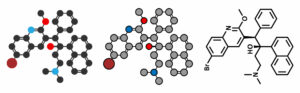 Bedaquiline a new drug for the treatment of tuberculosis